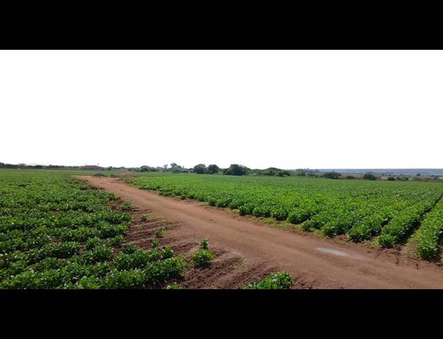 FARM FOR SALE IN VASFONTEIN